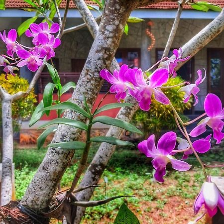 Vedic Heritage Boutique Hotel Kovalam Exteriör bild