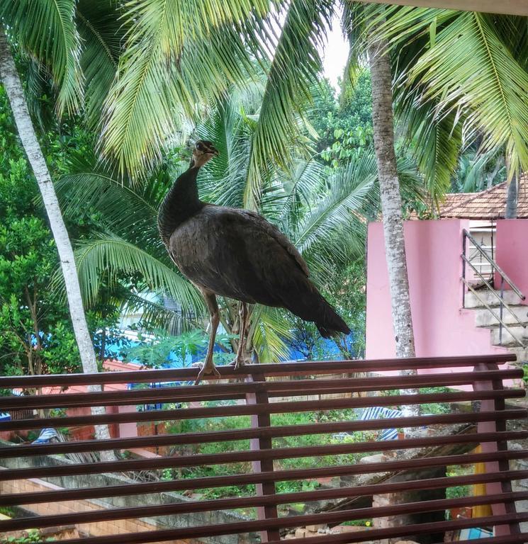 Vedic Heritage Boutique Hotel Kovalam Exteriör bild